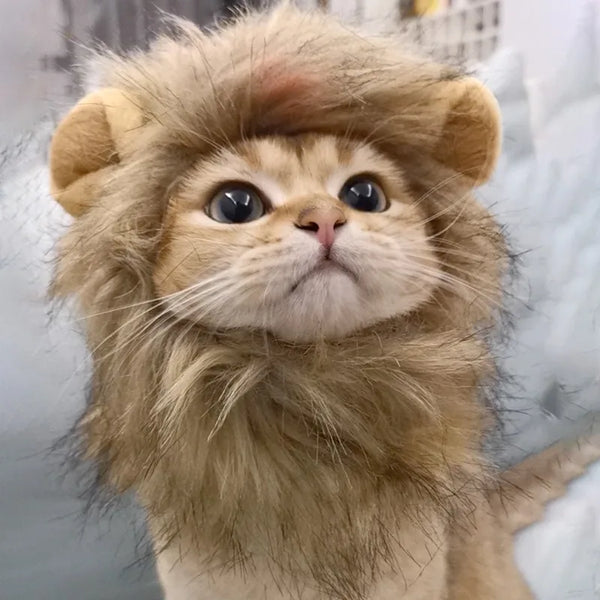 Cute cat lion mane costume