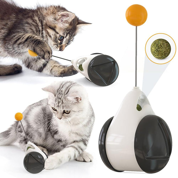 Intelligent cat toy on wheels "Rolly"