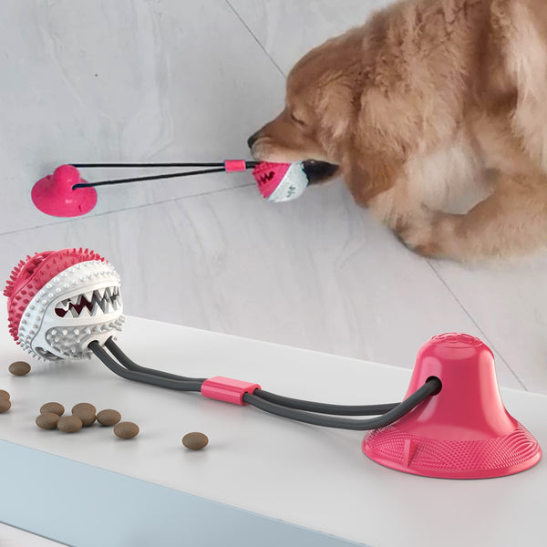 Dog chew ball + teeth cleaning