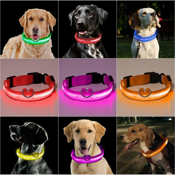 LED USB luminous dog collar