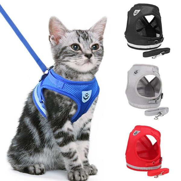 Cats walkie harness incl. Leash