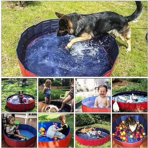 PetPool - foldable dog pool