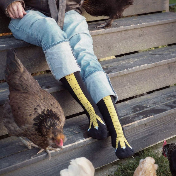 Chickens legs knee socks